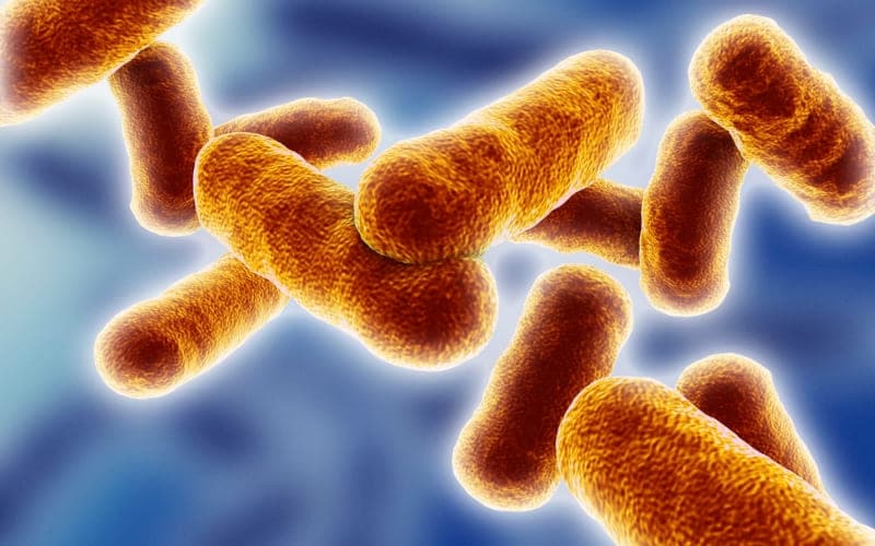 How To Get Rid Of Bad Bacteria In The Mouth?
